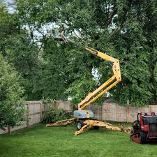 Best Landscape Design and Installation  in Sans Souci, SC